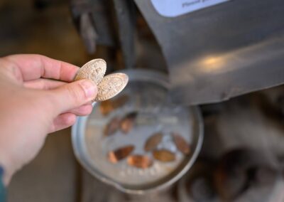 Pressed souvenir pennies with frontier designs