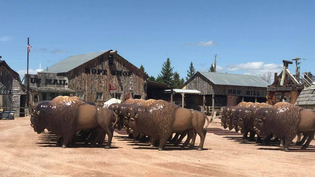 Themed buffalo silhouettes along the track